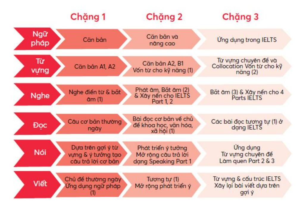 The True IELTS Guide – Lộ trình học IELTS cho người mới bắt đầu