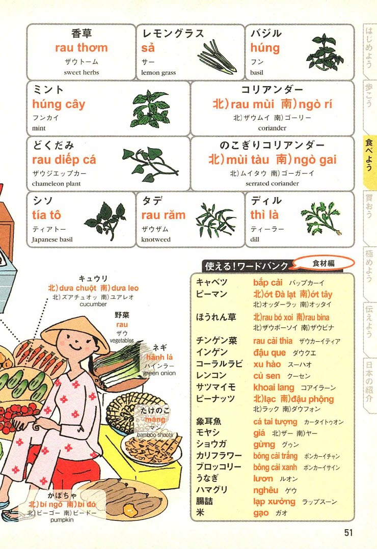 Nội dung - Sách ベトナム (絵を見て話せるタビトモ会話 アジア)